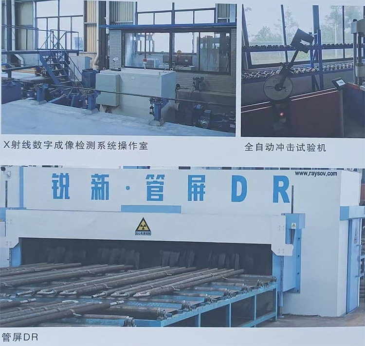豸